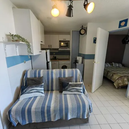 T2 Climatise Pour 4 Pers. Avec Piscine, Parking, Proche Et Commerces - Fr-1-607-152 Agde