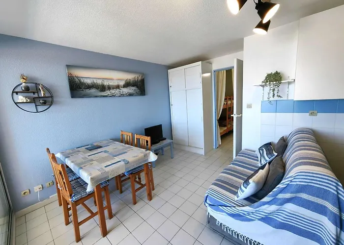 Appartement T2 Climatise Proche Avec Piscine Et Parking - Fr-1-607-152 Agde