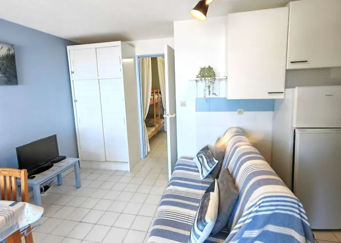 Appartement T2 Climatise Proche Avec Piscine Et Parking - Fr-1-607-152 Agde